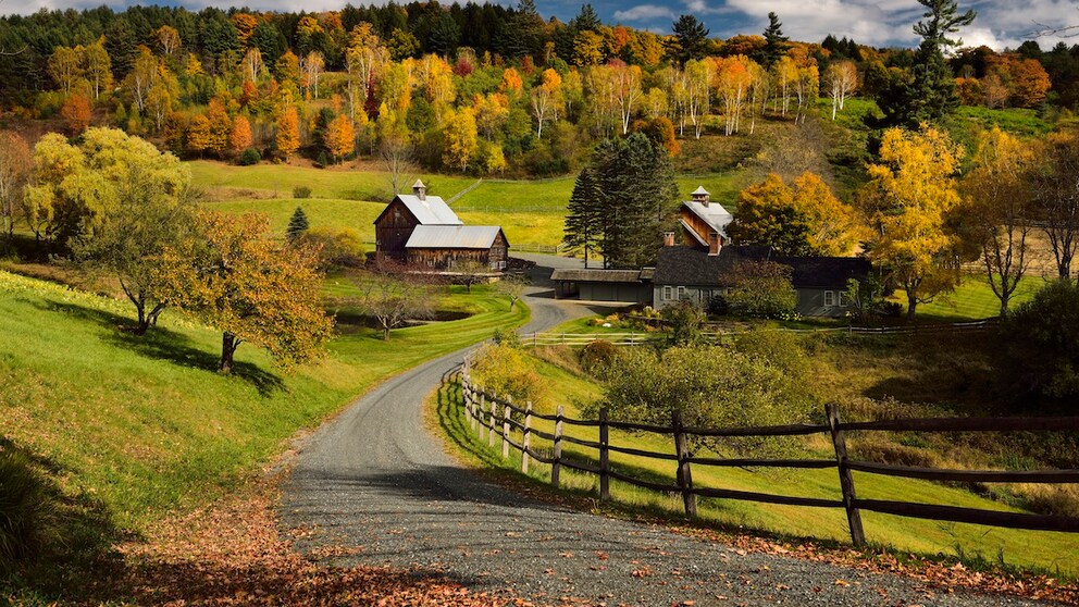 The Sleepy Hollow farm in Pomfret in the US state of Vermont has become an influencer hotspot in recent years