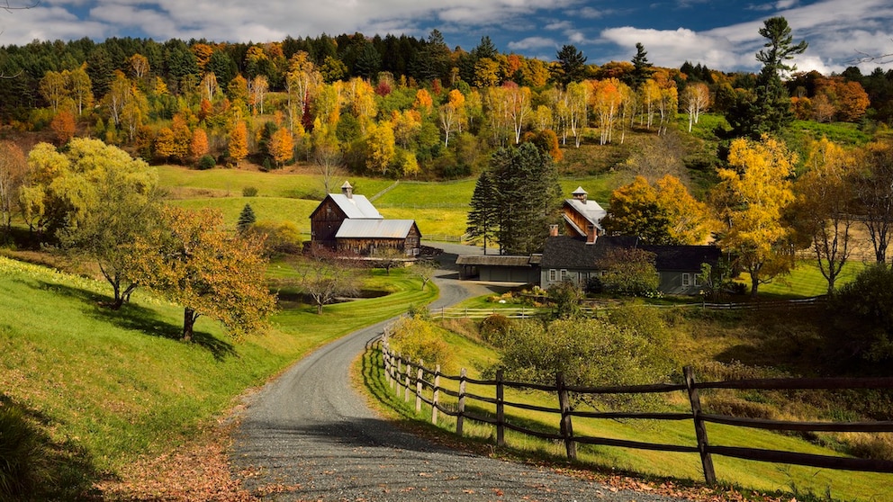 The Sleepy Hollow farm in Pomfret in the US state of Vermont has become an influencer hotspot in recent years