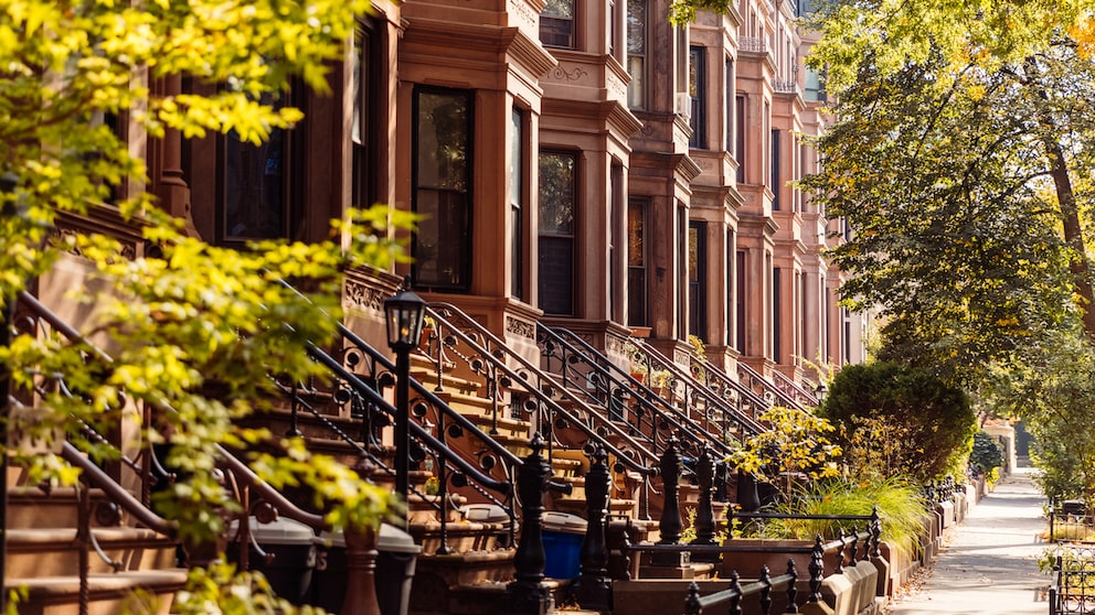 Brownstone houses in Brooklyn, New York: Do you recognize the "richest" city in the world?