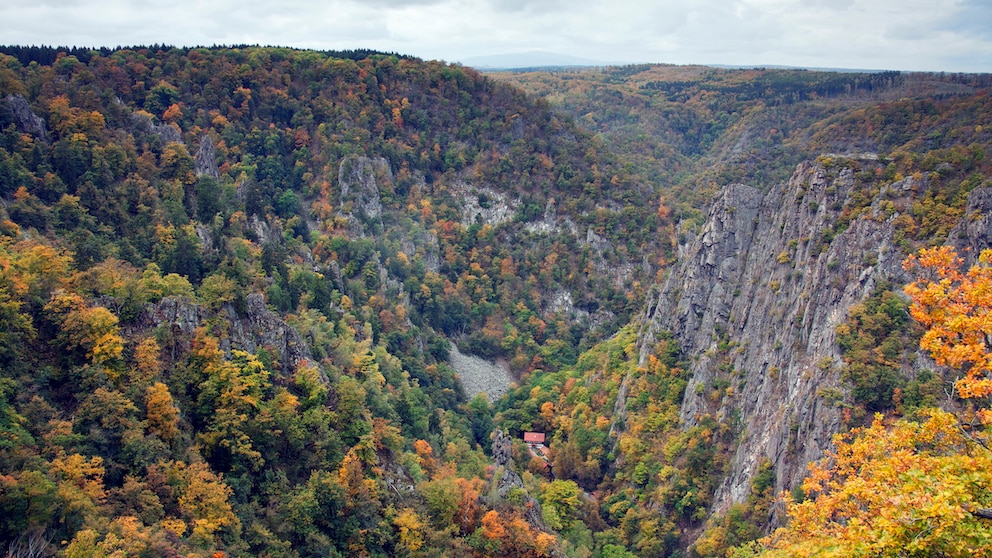 The Bode Valley is a spectacular gorge in eastern Germany and one of the many natural highlights you can discover on a multi-day tour through the Harz Mountains