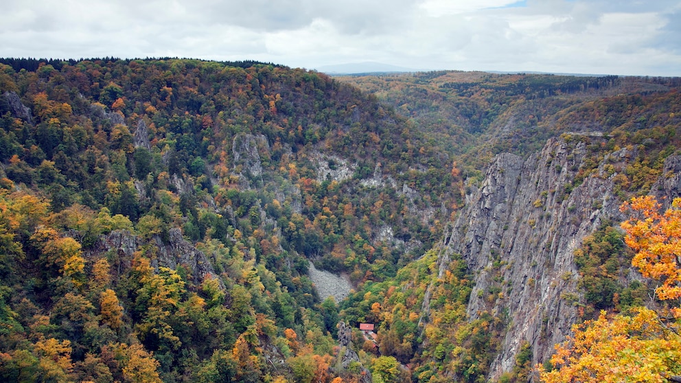 The Bode Valley is a spectacular gorge in eastern Germany and one of the many natural highlights you can discover on a multi-day tour through the Harz Mountains