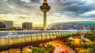 Passengers can now travel without passport control at Singapore Airport