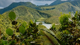 The Morne Trois Pitons National Park on Dominica