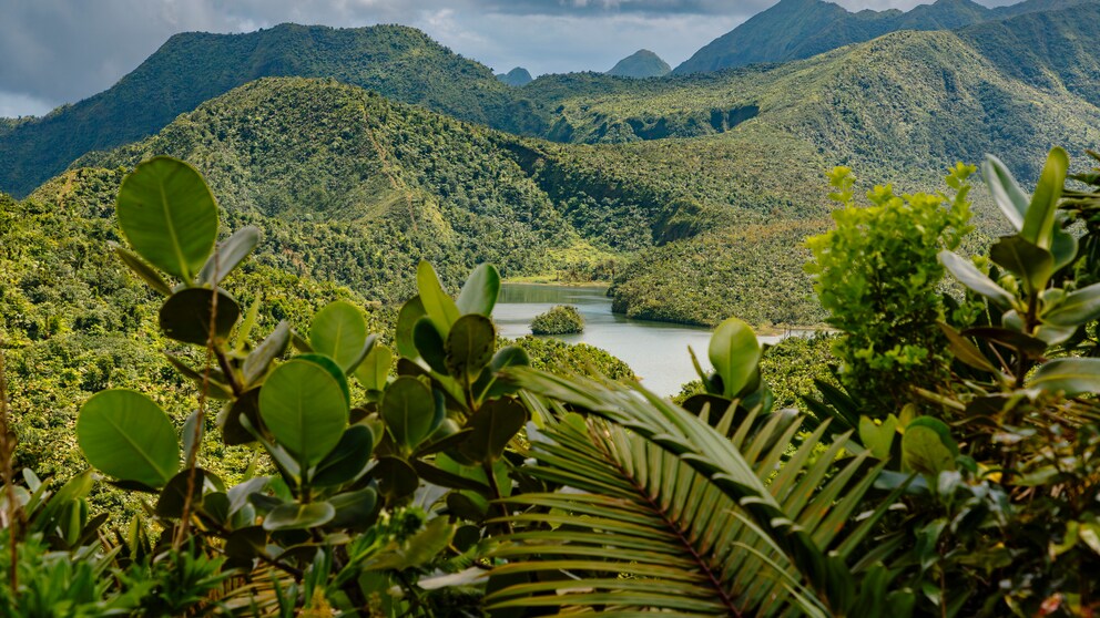 The Morne Trois Pitons National Park on Dominica