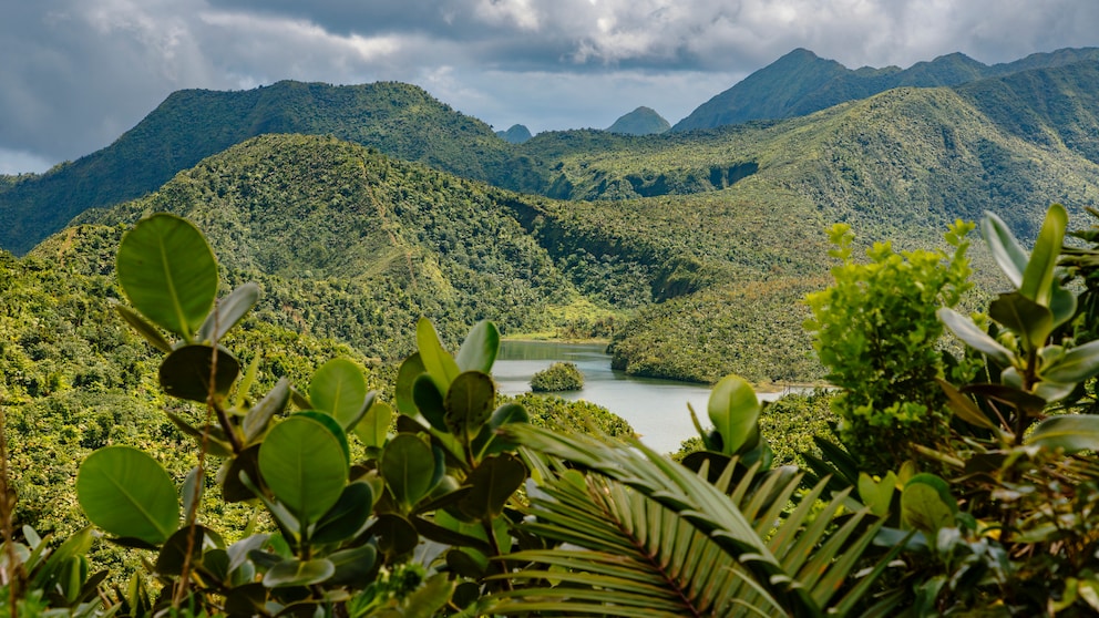 The Morne Trois Pitons National Park on Dominica