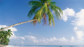 Paradise Beach in Zanzibar