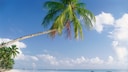 Paradise Beach in Zanzibar