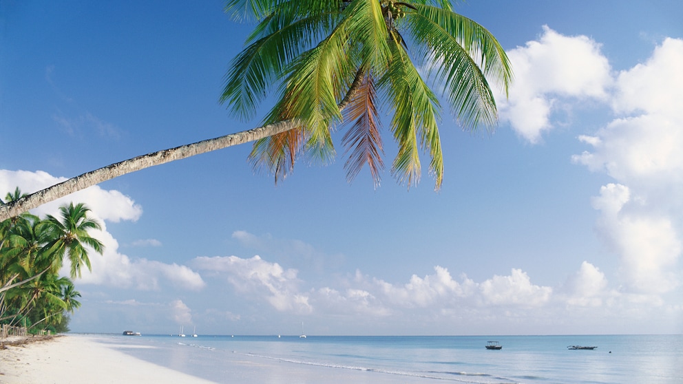 Paradise Beach in Zanzibar