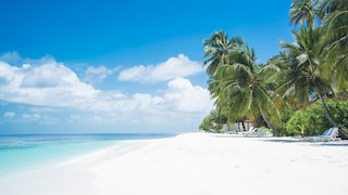 At many tropical beaches, the sand appears almost white. But why is that?