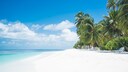 At many tropical beaches, the sand appears almost white. But why is that?
