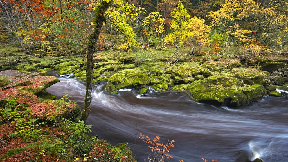 Its beauty is deceptive: The Bolton Strid is often referred to as the most dangerous stretch of river in the world