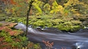 Its beauty is deceptive: The Bolton Strid is often referred to as the most dangerous stretch of river in the world