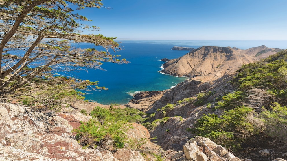 The view of Porto Santo from Pico Branco is worth all the effort