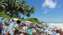 Litter on the beach
