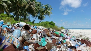 Litter on the beach