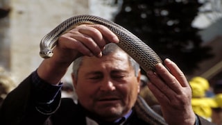 Snake festival