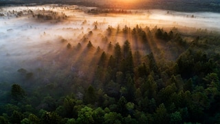 Wilderness