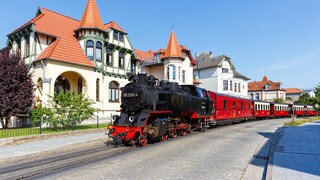 The steam train "Molli" of the Bäderbahn runs through Bad Doberan