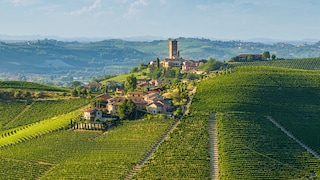 Langhe Italy