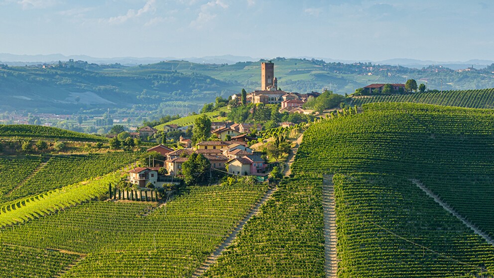 Langhe Italy