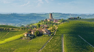 Langhe Italy