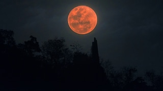 On the night of March 13 to 14, a blood moon will be visible in Germany.