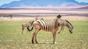 Namibia vaccinations