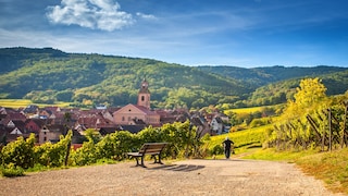 Riquewihr is located in Alsace, just 30 kilometers from the Rhine River.