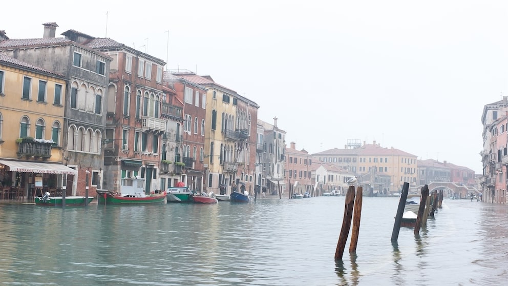 Raising Venice to Save It?