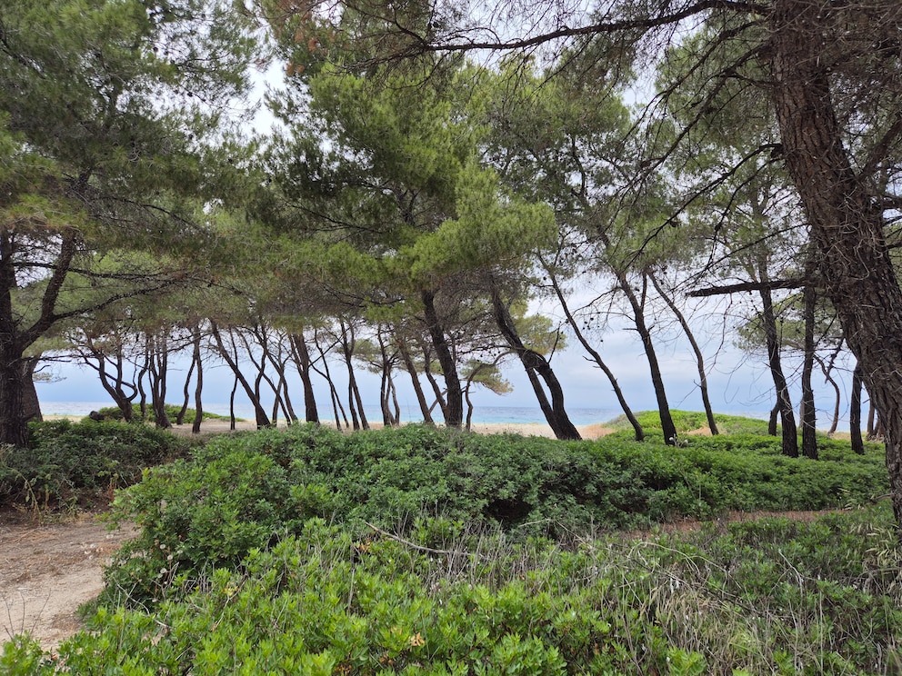 Best Beach in Chalkidiki
