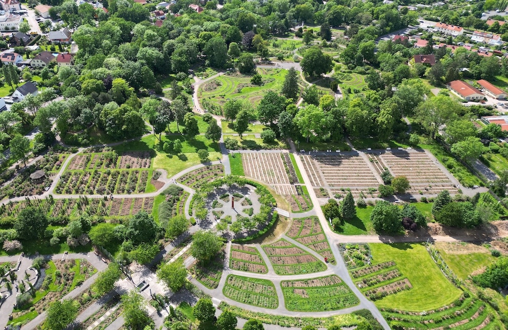 View Over the Rosarium Area