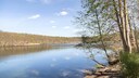 How to Identify Blue-Green Algae in Lakes