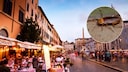 Cockroach Infestation in Italy
