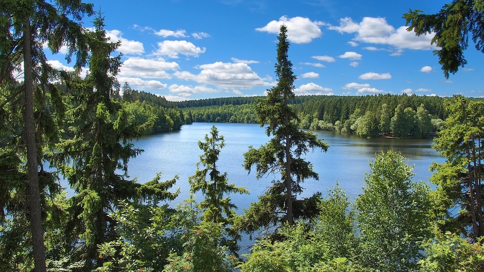 Harz National Park