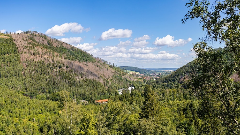 Oker Valley