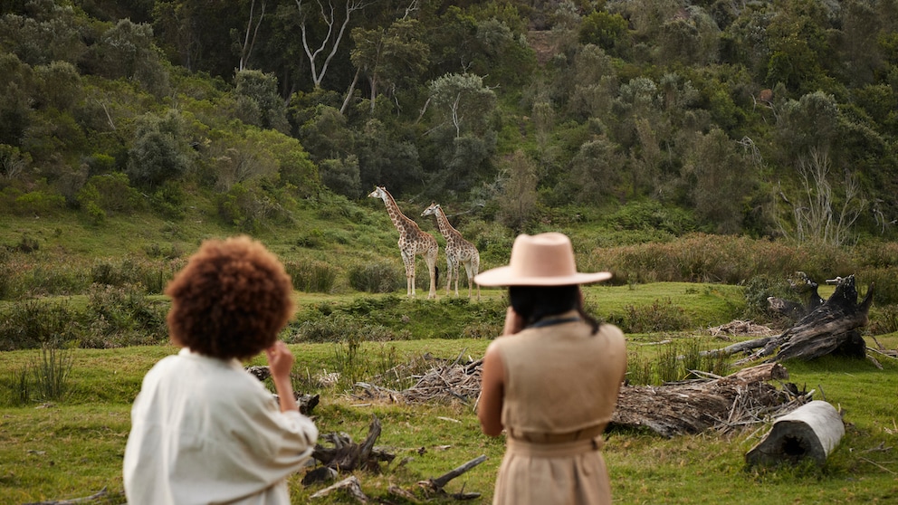 Two women photograph giraffes