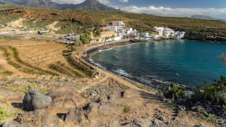 Tenerife Fecal Bacteria