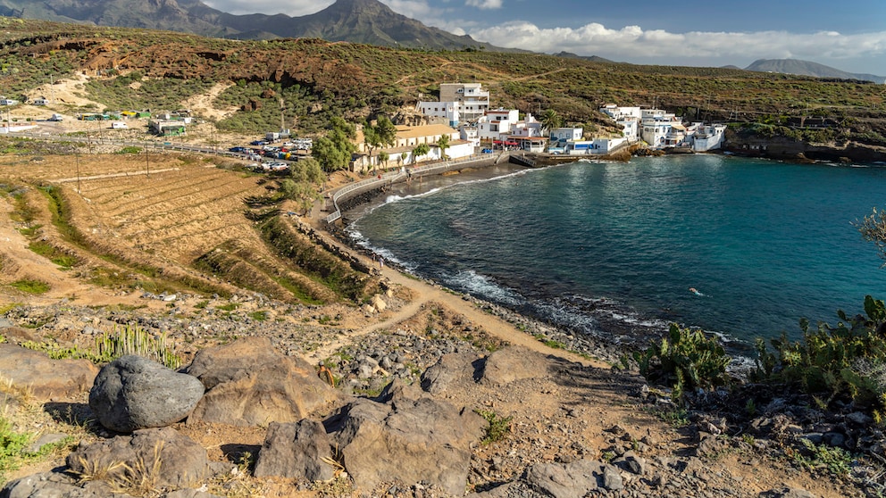 Tenerife Fecal Bacteria