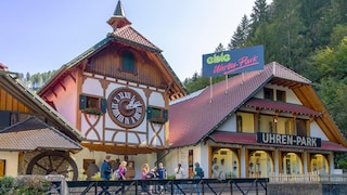 Cuckoo Clock in Triberg