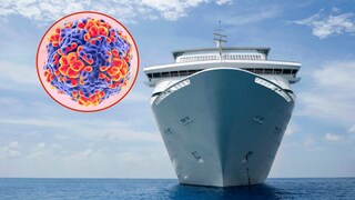 Cruise Ships and Norovirus–Why These Two Topics Unfortunately Go Hand in Hand