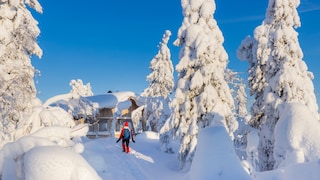 Christmas Elf Lapland