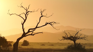 Iona National Park in Angola