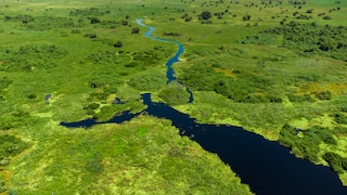 Pantanal National Park in Brazil