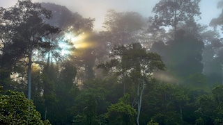 Sunrise Over the Tabin Wildlife Reserve in Borneo