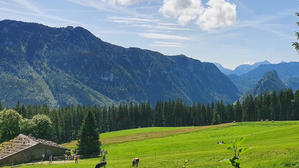 Bäckeralm (a traditional German mountain hut)