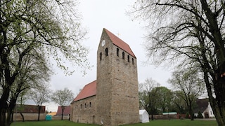 Mummies of Nedlitz