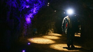 At the Cave Experience Center in Bad Grund, visitors can explore the history of the Lichtenstein Cave. Researchers made a sensational discovery here.