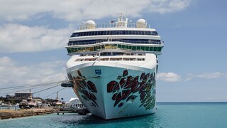 best cruise line