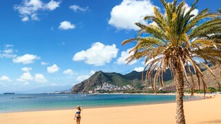 Between Myths and Mysteries: Where Does the Name "Canary Islands" Actually Come From?