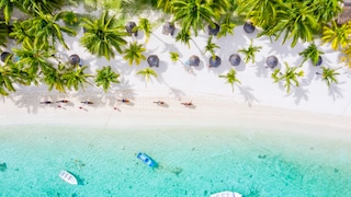 Distant dream destinations with tropical beaches, exotic wildlife, and endless deserts–is it possible without jet lag?